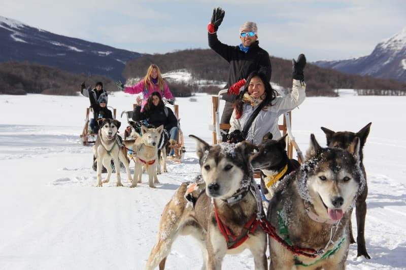 EXPERIENCIA HUSKY - Imagen 2