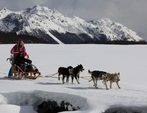 EXPERIENCIA HUSKY - Imagen 4