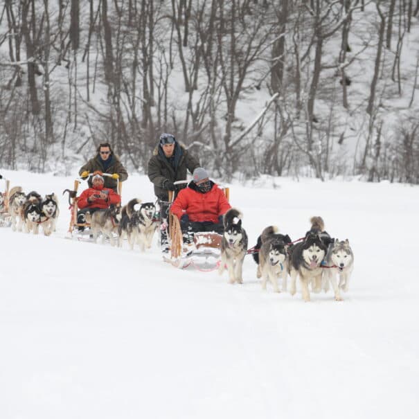 EXPERIENCIA HUSKY - Imagen 7