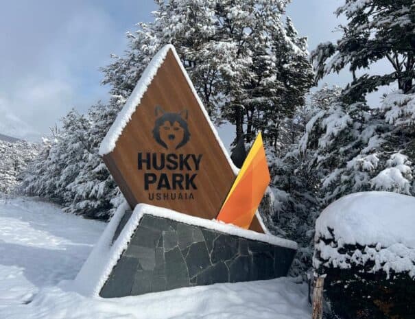 FULL DAY NIEVE - Imagen 1