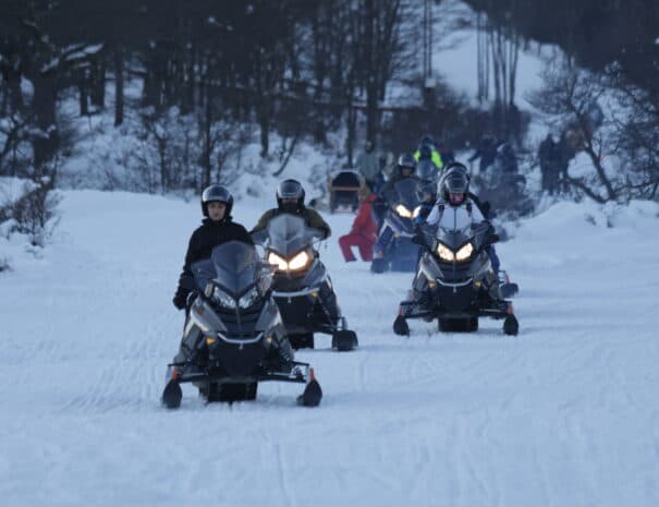 FULL DAY NIEVE - Imagen 3