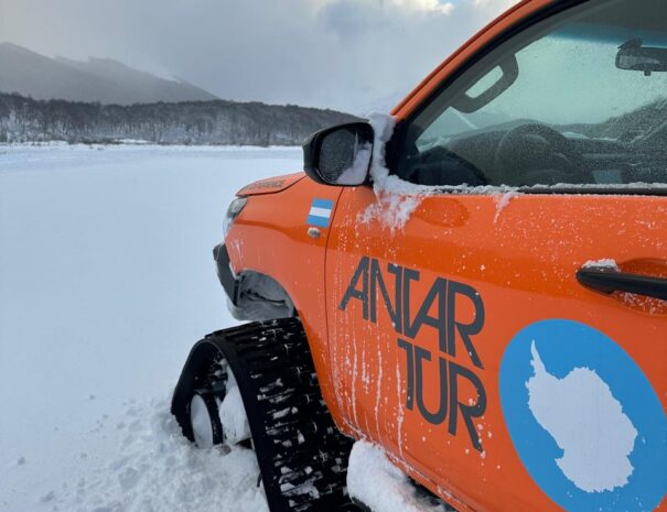 FULL DAY NIEVE - Imagen 9