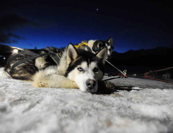 NIEVE & FUEGO - Imagen 13