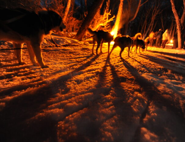 NIEVE & FUEGO - Imagen 14