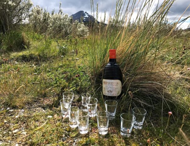 PARQUE AVENTURA - Imagen 2