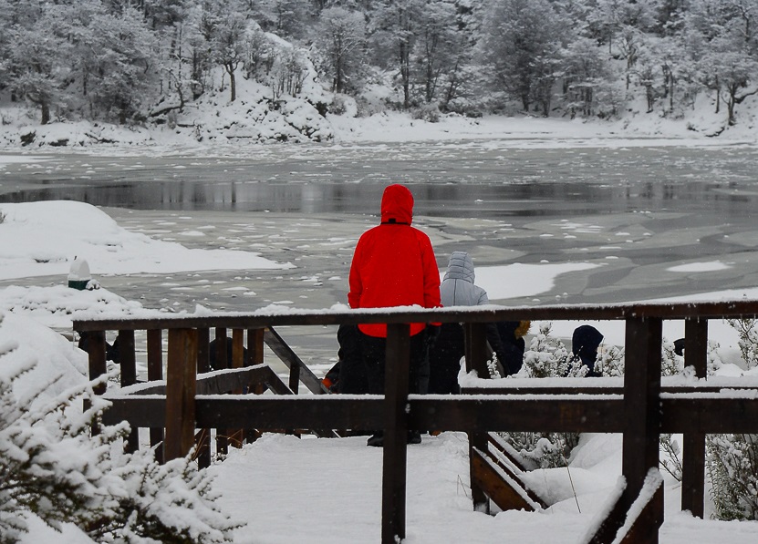 PARQUE NACIONAL TIERRA DEL FUEGO