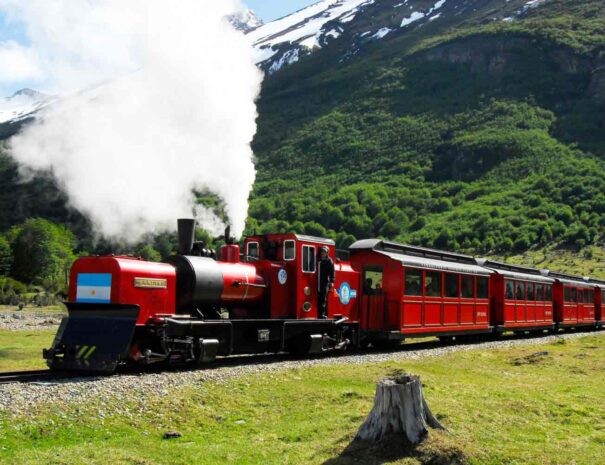 PARQUE NACIONAL CLÁSICO - Imagen 4